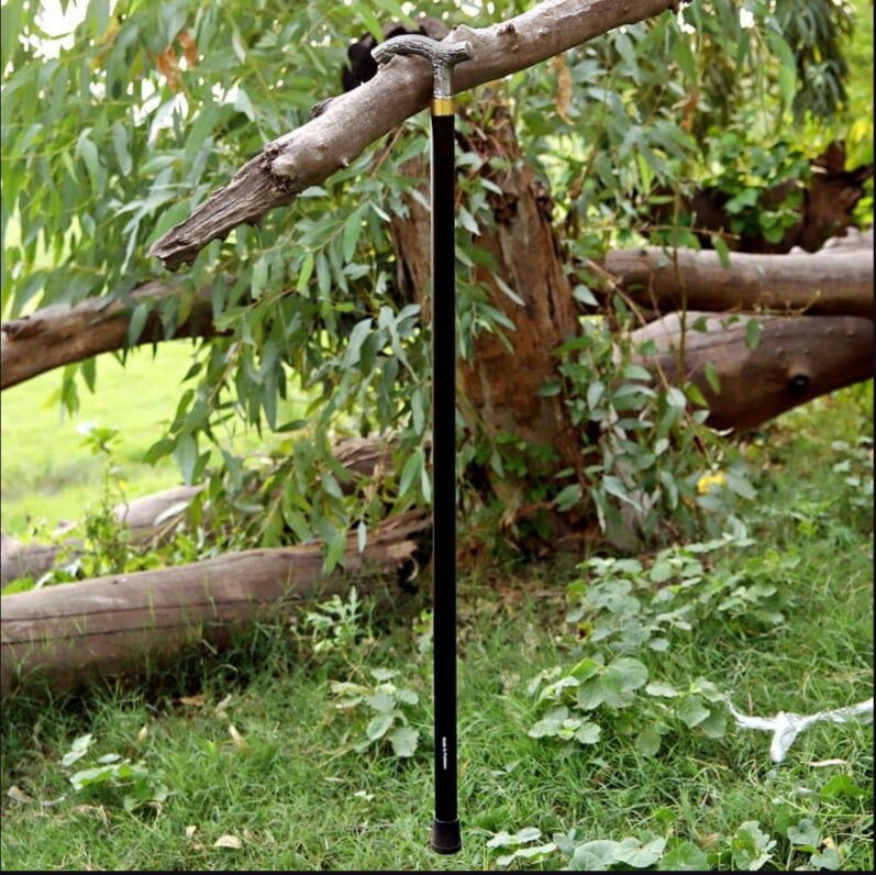Cane Stick sword