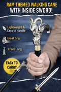 Cane Stick sword